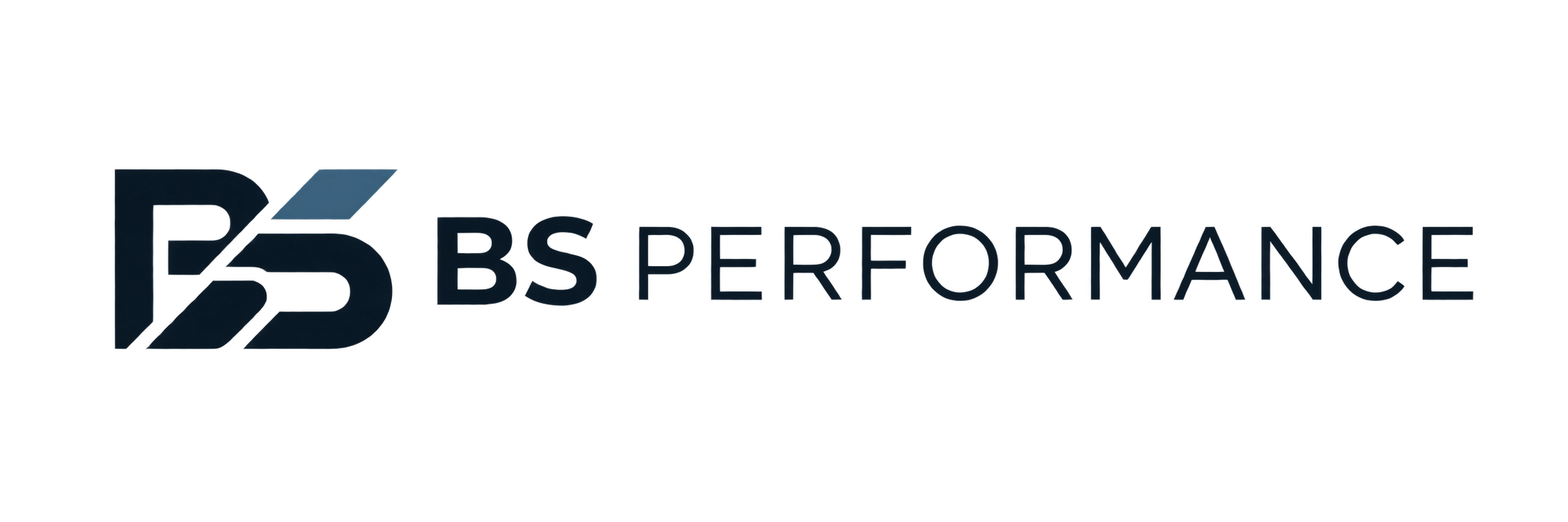 BS PERFORMANCE